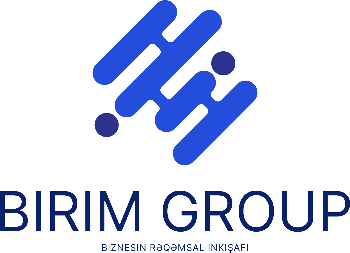 Birim Group logo